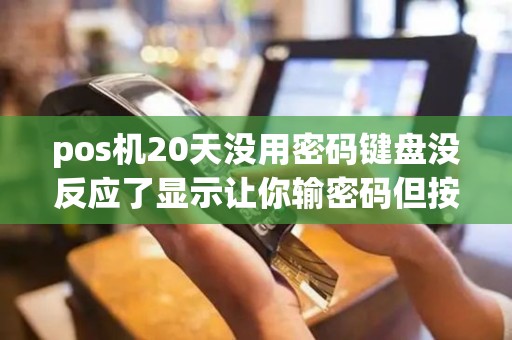 pos机20天没用密码键盘没反应了显示让你输密码但按键没反应？
