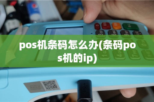 pos机条码怎么办(条码pos机的ip)