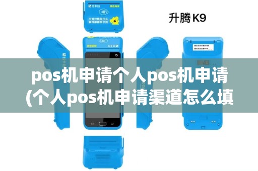 pos机申请个人pos机申请(个人pos机申请渠道怎么填)