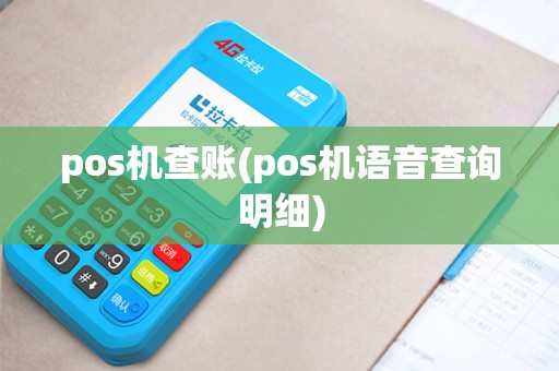 pos机查账(pos机语音查询明细)