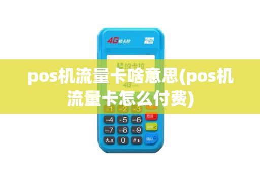 pos机流量卡啥意思(pos机流量卡怎么付费)
