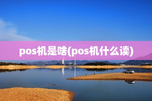pos机是啥(pos机什么读)