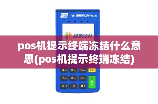 pos机提示终端冻结什么意思(pos机提示终端冻结)