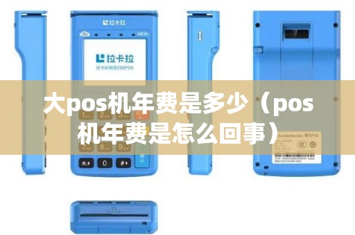 大pos机年费是多少（pos机年费是怎么回事）