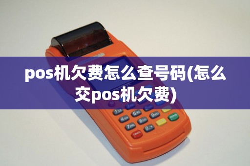 pos机欠费怎么查号码(怎么交pos机欠费)