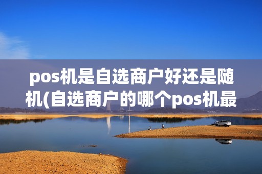 pos机是自选商户好还是随机(自选商户的哪个pos机最好)