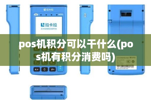 pos机积分可以干什么(pos机有积分消费吗)
