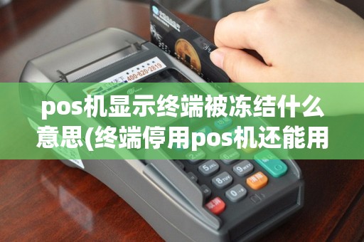 pos机显示终端被冻结什么意思(终端停用pos机还能用吗)