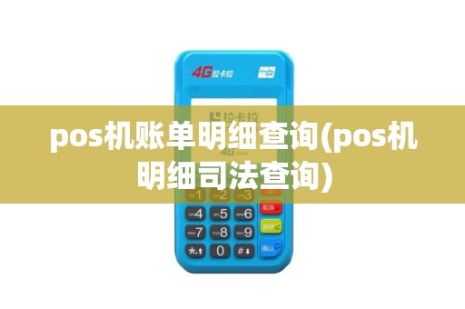 pos机账单明细查询(pos机明细司法查询)