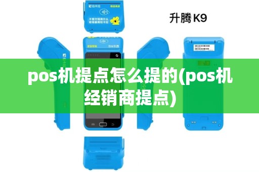 pos机提点怎么提的(pos机经销商提点)