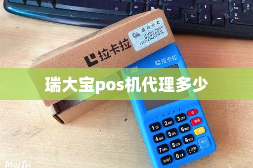 瑞大宝pos机代理多少