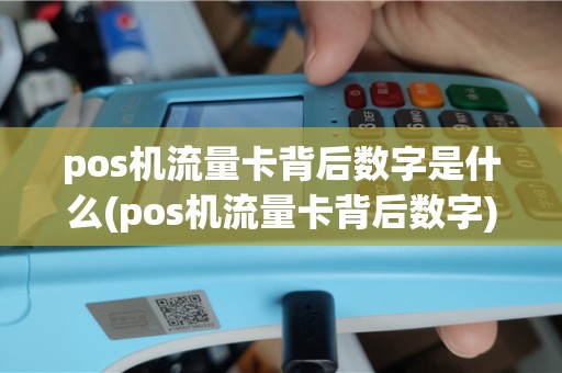 pos机流量卡背后数字是什么(pos机流量卡背后数字)