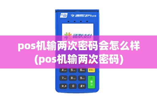 pos机输两次密码会怎么样(pos机输两次密码)