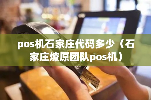 pos机石家庄代码多少（石家庄燎原团队pos机）