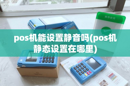 pos机能设置静音吗(pos机静态设置在哪里)