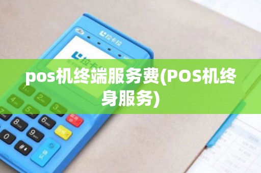 pos机终端服务费(POS机终身服务)
