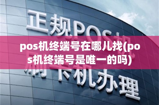 pos机终端号在哪儿找(pos机终端号是唯一的吗)