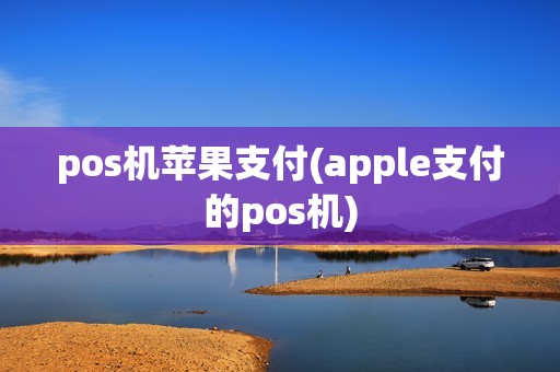 pos机苹果支付(apple支付的pos机)