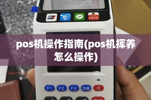 pos机操作指南(pos机挥养怎么操作)