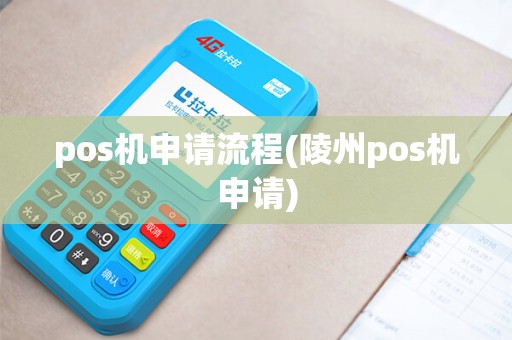 pos机申请流程(陵州pos机申请)