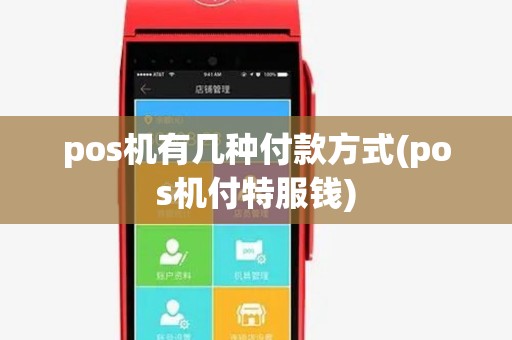 pos机有几种付款方式(pos机付特服钱)