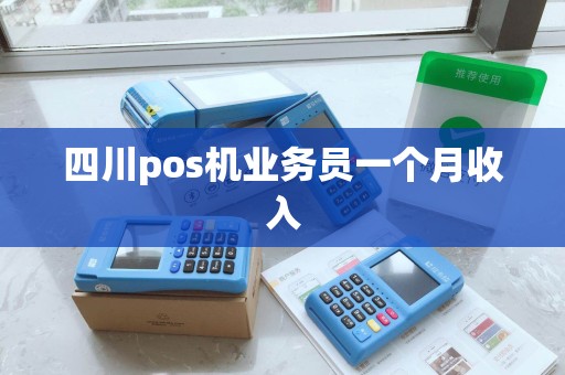 四川pos机业务员一个月收入