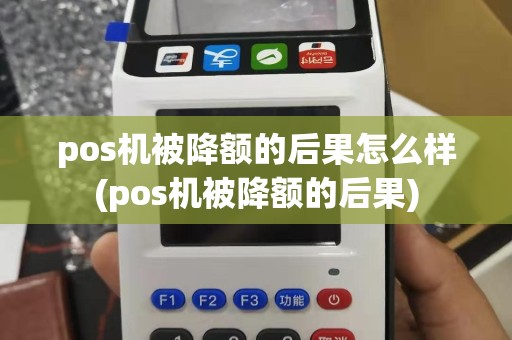 pos机被降额的后果怎么样(pos机被降额的后果)