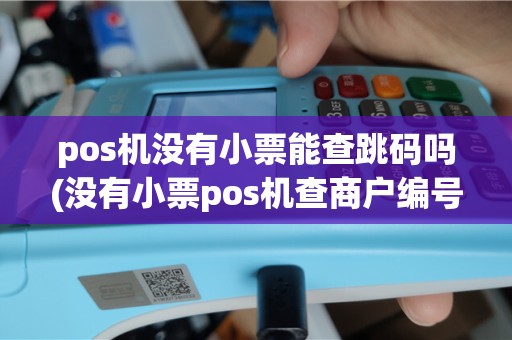pos机没有小票能查跳码吗(没有小票pos机查商户编号)