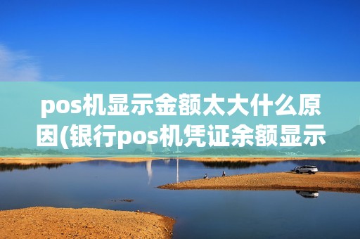 pos机显示金额太大什么原因(银行pos机凭证余额显示)