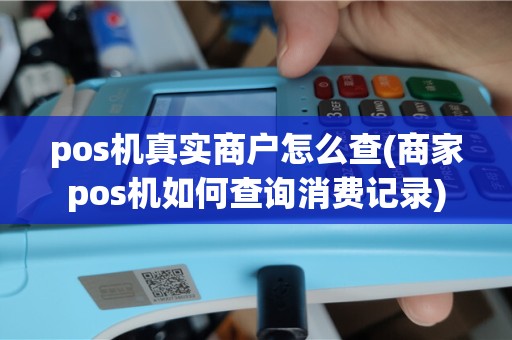 pos机真实商户怎么查(商家pos机如何查询消费记录)