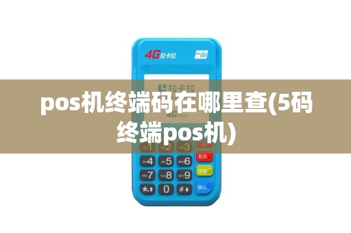 pos机终端码在哪里查(5码终端pos机)