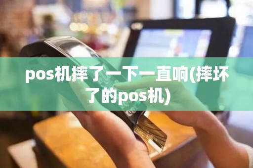 pos机摔了一下一直响(摔坏了的pos机)