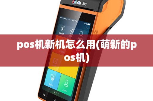 pos机新机怎么用(萌新的pos机)