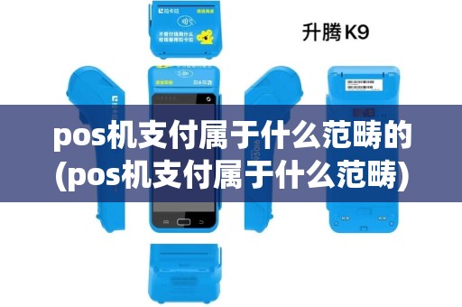 pos机支付属于什么范畴的(pos机支付属于什么范畴)