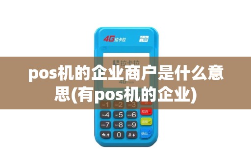pos机的企业商户是什么意思(有pos机的企业)