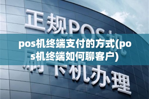 pos机终端支付的方式(pos机终端如何聊客户)