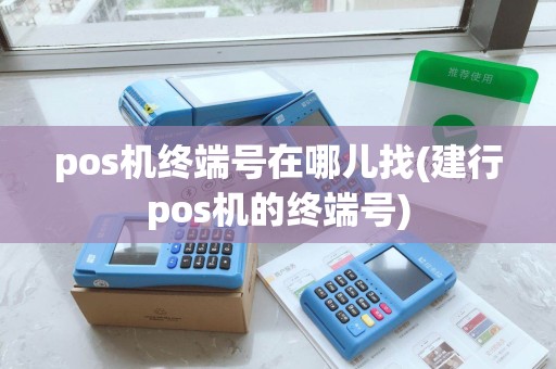pos机终端号在哪儿找(建行pos机的终端号)