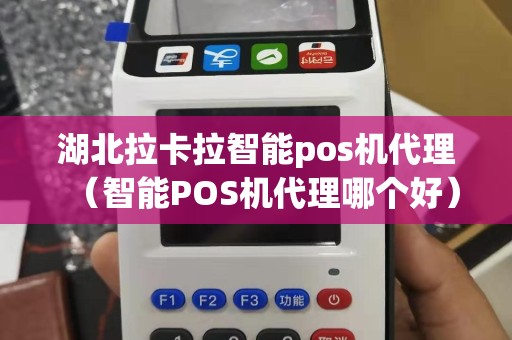 湖北拉卡拉智能pos机代理（智能POS机代理哪个好）