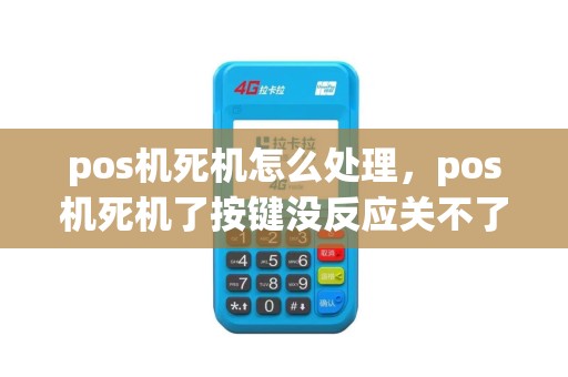 pos机死机怎么处理，pos机死机了按键没反应关不了机