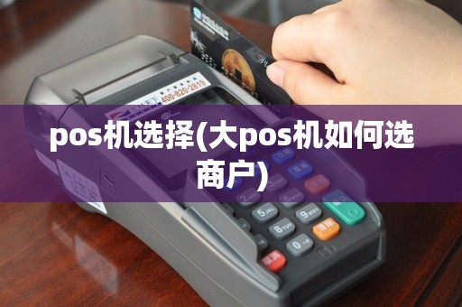 pos机选择(大pos机如何选商户)