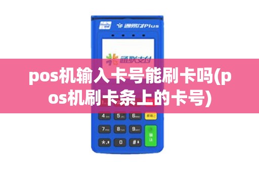 pos机输入卡号能刷卡吗(pos机刷卡条上的卡号)