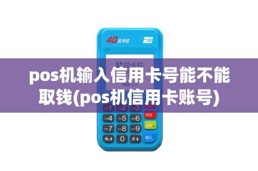 pos机输入信用卡号能不能取钱(pos机信用卡账号)