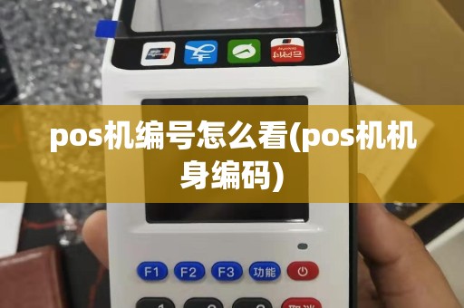 pos机编号怎么看(pos机机身编码)