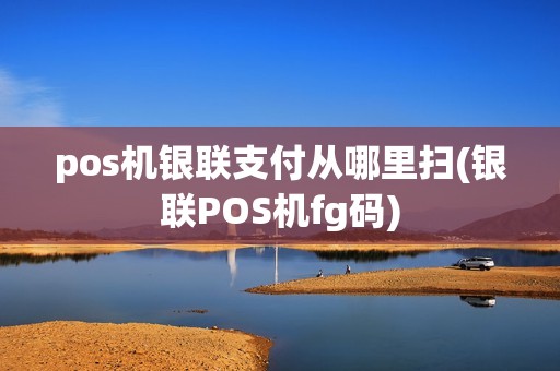 pos机银联支付从哪里扫(银联POS机fg码)