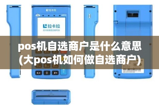 pos机自选商户是什么意思(大pos机如何做自选商户)