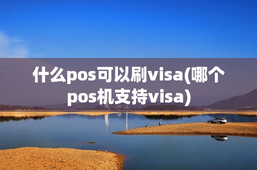 什么pos可以刷visa(哪个pos机支持visa)