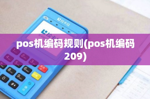 pos机编码规则(pos机编码209)