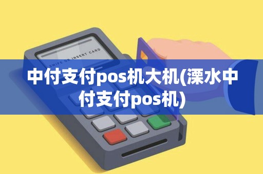 中付支付pos机大机(溧水中付支付pos机)