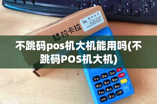 不跳码pos机大机能用吗(不跳码POS机大机)