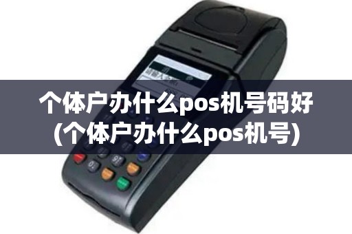 个体户办什么pos机号码好(个体户办什么pos机号)